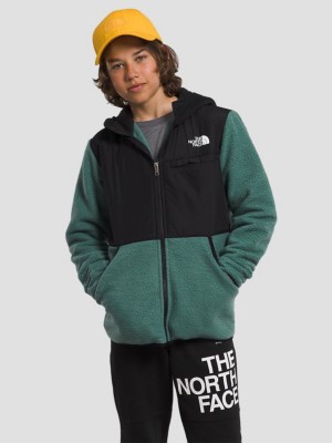 Fuzzy north face store jacket with hood